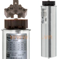Capacitor Frako LKT15.0-440-DBA : កុងដុង 3P 15Kvar 440V 50Hz